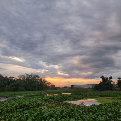 RifatHassa25182's profile picture. "$FAN Maxi"