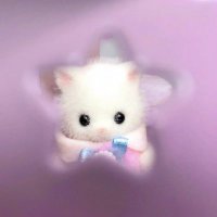 ♡ (@torihiki_i15) 's Twitter Profile