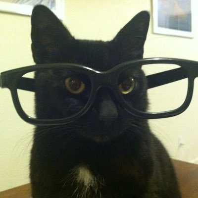 nerdy guy with a big c*ck | I love cats | #b37479 | DM me