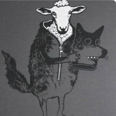 LucZenatelli's profile picture. 