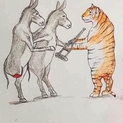 Johnsk99934510's profile picture. I believe am unique in my own kind!