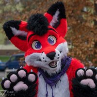 Daxter 🇨🇿 (@daxterthefox) 's Twitter Profile