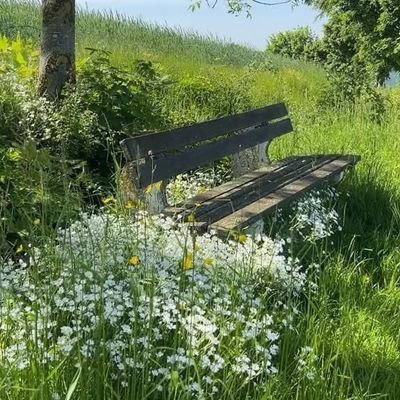 ShahidA74947016's profile picture. Haq Niazi Such Niazi ❤