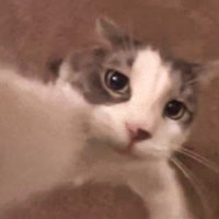 Armiche (@armix2112) 's Twitter Profile