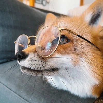 Foxy🦊🔞さんのプロフィール画像