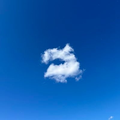 gvt1602's profile picture. 