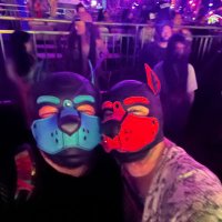 Blu & Max (@blumaxbackup) 's Twitter Profile