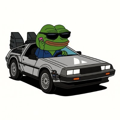 DeloreanAVAX's profile picture. We didn’t fix the past… but we’ll ape into the future