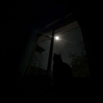 Rahaf4547's profile picture. 