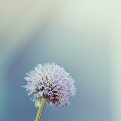 beHappy465's profile picture. 