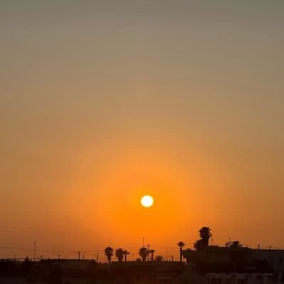 ProsperCap71829's profile picture. Balance 🤍🖤