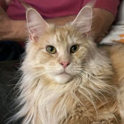 Y85307Mukete's profile picture. 