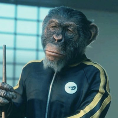 svanderwildt's profile picture. Visionary