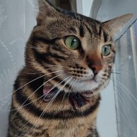 Mars. ๐พ (@marslibiseyler) 's Twitter Profile