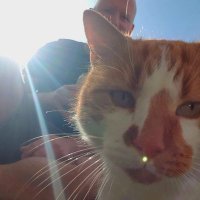 John Morton (@johnsback2) 's Twitter Profile