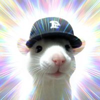crodi (@crodibruh) 's Twitter Profile