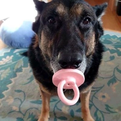 BlockfireY's profile picture. 