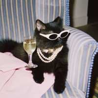 dollylor (@dollylorrr) 's Twitter Profile Photo dollylor (@dollylorrr) 's Twitter Profile Photo