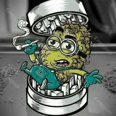 loboguat's profile picture.