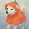 ZE0ZC4EsiVsBYtb's profile picture. 好き→
藤井聡太竜王
渡會将士さん
立川志の輔さん
打首獄門同好会

年中布団の中から出たくない

副業系出会い系通報の上ブロックします