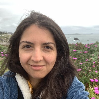 Web Developer | Available for Projects and/or Permanent Work
Building in Public and Documenting My Learning and Creative Processes