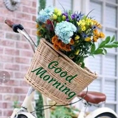 bles41267's profile picture. Work at Hatay province
at Tafe NSW