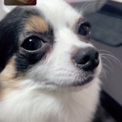 lockkey722's profile picture. Nはナムル由来です