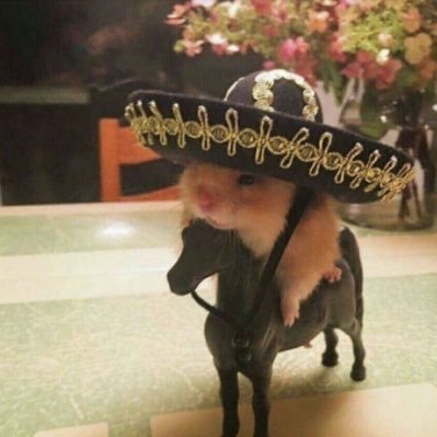 chaseistired's profile picture. @chaseowo new private, old taken by Elon | chronically ill workaholic