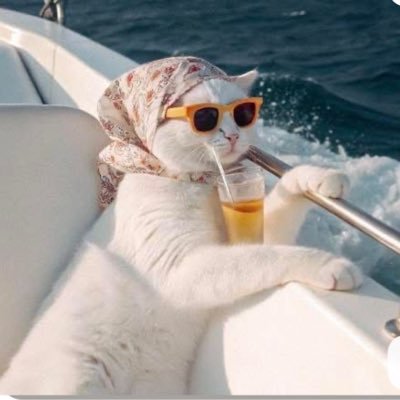 SeasideCatt's profile picture. 