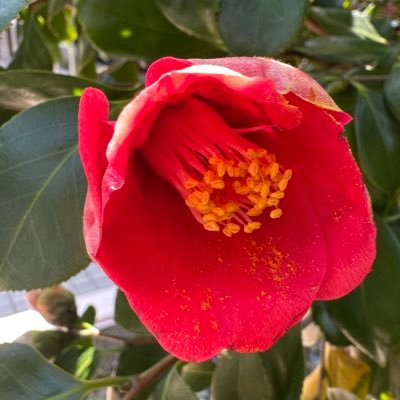 benitubaki_uctk's profile picture. 