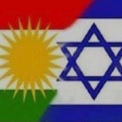 selimglyrz's profile picture. 2+2=1 NASYONAL KÜRT. Anti kemalizm, anti apoizm, anti hdp YAŞASIN ÖZGÜR MÜSTAKİL KÜRDİSTAN