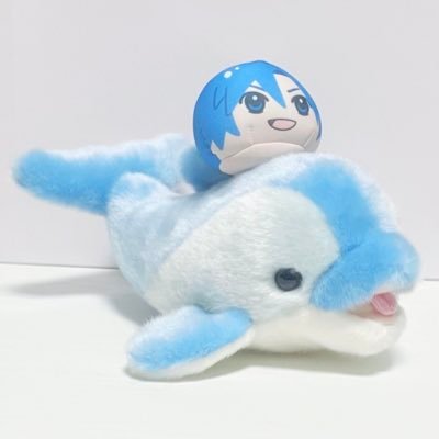 くまとねこさんのプロフィール画像