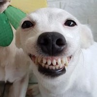 akemi. (@i6rohan) 's Twitter Profile