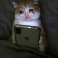 المصفوعة 🥴 (@almsfw9108) 's Twitter Profile