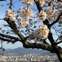 mifhafha01 (@mifhafha0162409) 's Twitter Profile