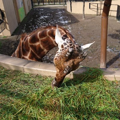 uk08101112's profile picture. 変態ドM男です。
皆様の奴隷として生きていきたいです。
よろしくお願いします。