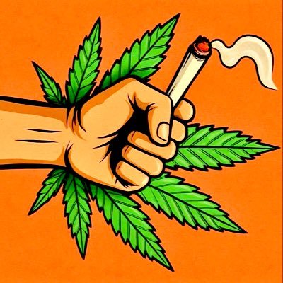 Terps500's profile picture. Loud only. No mid, no mess. 📍 Moves in silence, delivers noise. 💨 Plugged in 24/7 | DM to tap in. #CannabisCulture 🌿 #TrapSmart