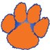 Laurence Manning Football (@swampcatfb) Twitter profile photo Laurence Manning Football (@swampcatfb) Twitter profile photo