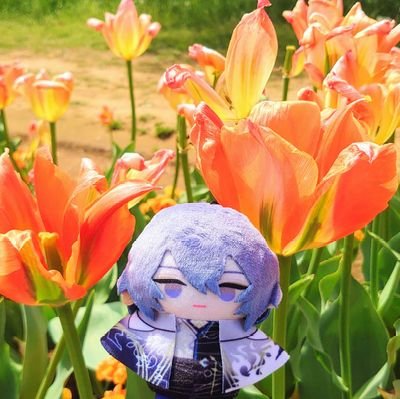 紅百合(◍•ᴗ•◍)🍀さんのプロフィール画像