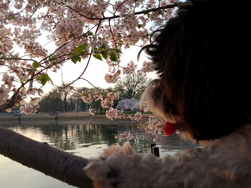 RockneReflects's profile picture. 