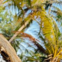 Jack minteh (@jminteh49124) 's Twitter Profile