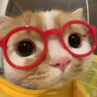 - F - (@cxllmxfxhh) 's Twitter Profile