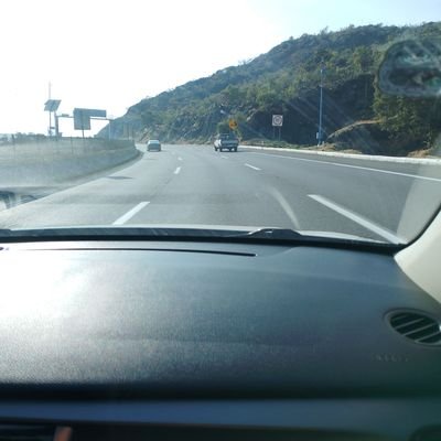 jose40003854033's profile picture. curiosidad 🦝