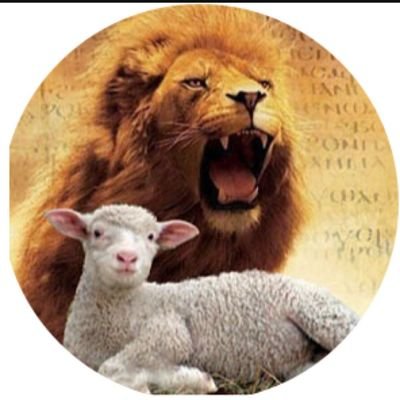 NO DM's unless requested!
🧡Jesus, 🧡my husband, 🧡my children, and 🧡my grandchildren. Total science nerd, introvert, and child of God 🥰 MAGA & MAHA!!
