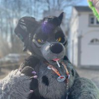 Arrow/Onyx (@arrowthehunter) 's Twitter Profile