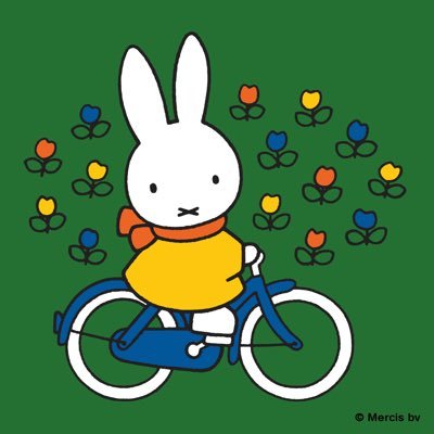 바오🐰さんのプロフィール画像