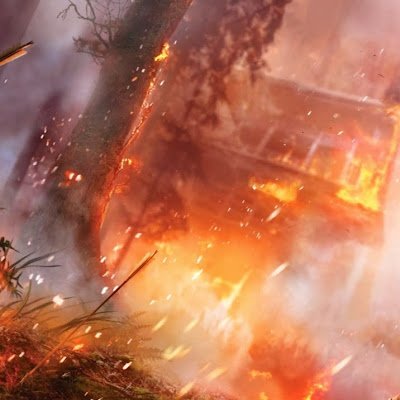 collins_re22137's profile picture. 