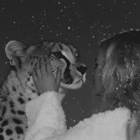 R8 | Cielo (@iliixsh) 's Twitter Profile