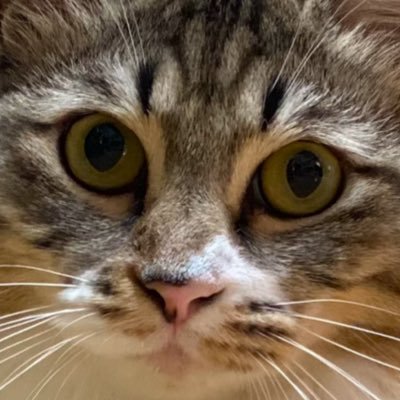 HANPEN_TIKUWA_'s profile picture. 1級建築士R6学科独学合格 製図落ち R7合格目指す2年目生