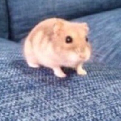 robbor123321's profile picture. pretty clear why I made this account